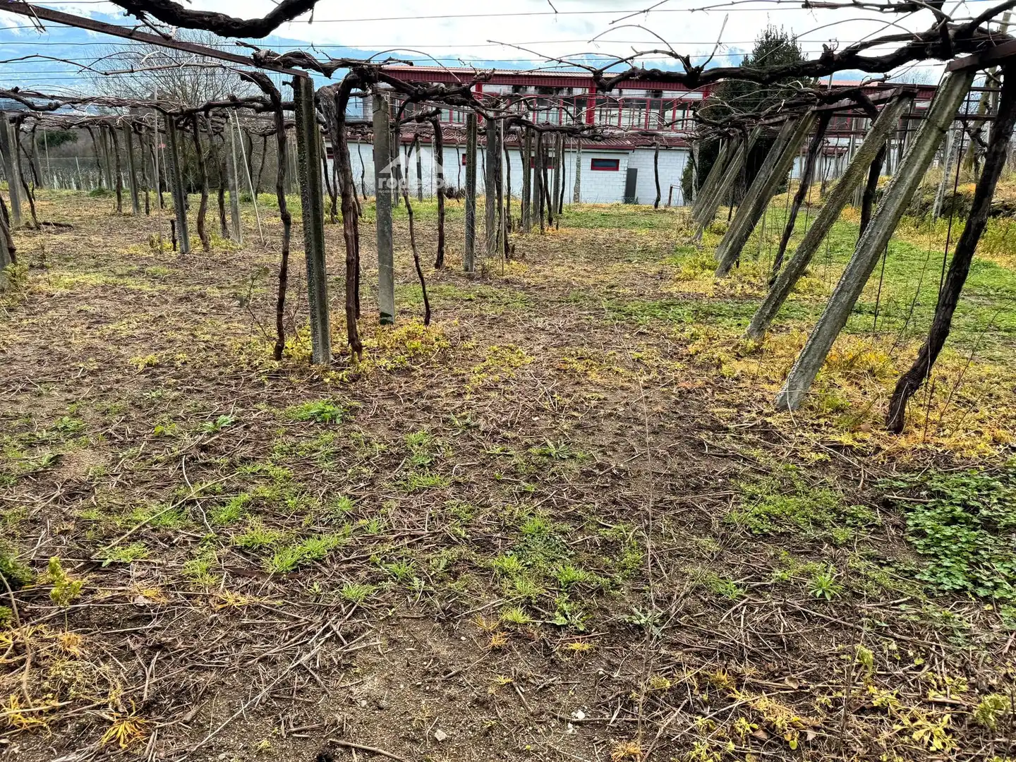 Rural land for sale in Arbo, imagen 25