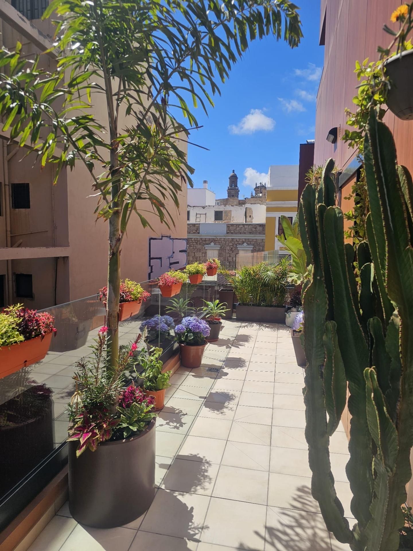 Terraza de Piso en venta en Las Palmas de Gran Canaria con Calefacción, Terraza y Trastero