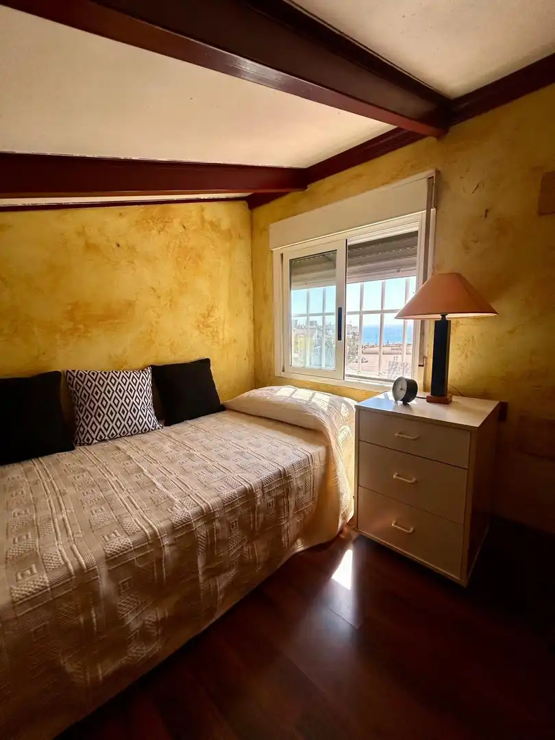 Penthouse with terrace for sale in Avenida Avenida Don Juan de Austria, imagen 14