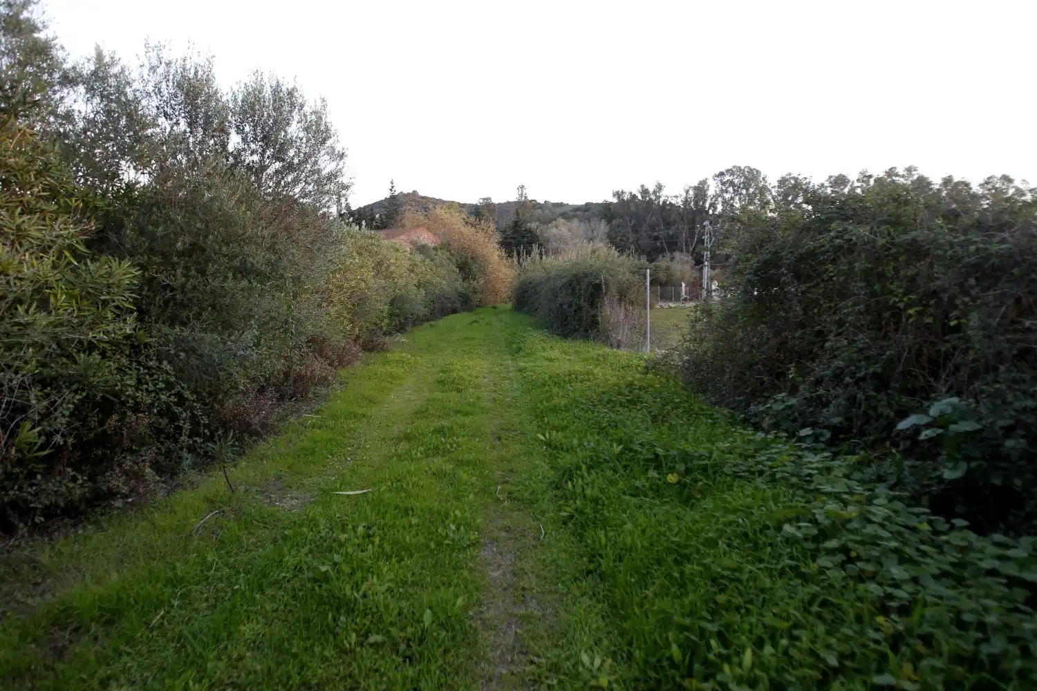 Maison rustique à vendre à San Martín del Tesorillo, imagen 21