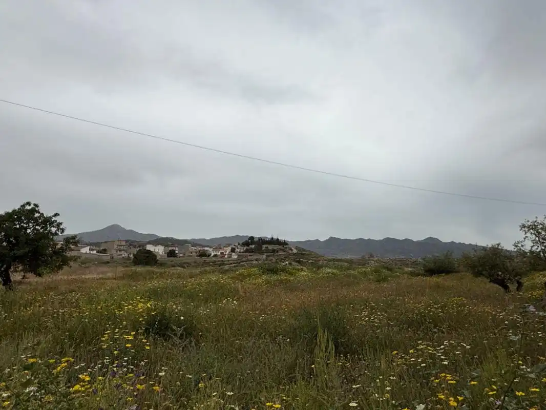 Terrenys i solars en venda a Calle Molino, imagen 3