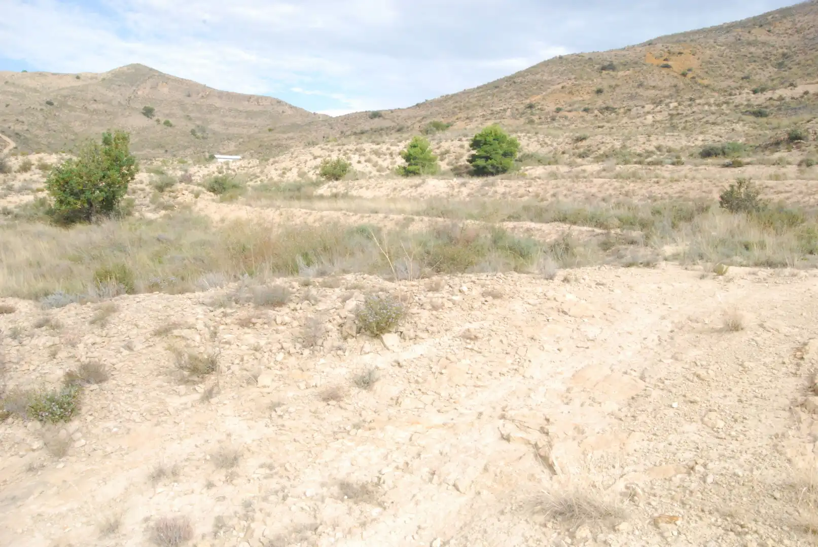 Terreno rustico in vendita a Valle del Sol, imagen 5