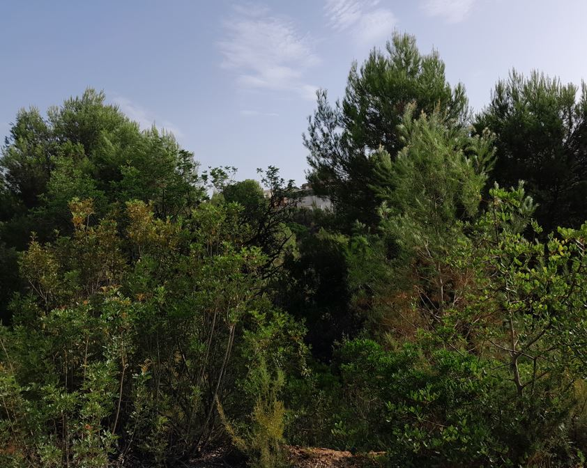 Residencial en venta en Alginet