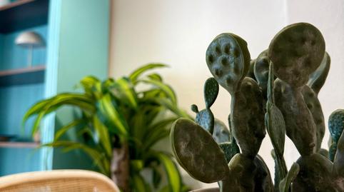 Photo 4 of House or chalet to rent in Bolnuevo, Murcia