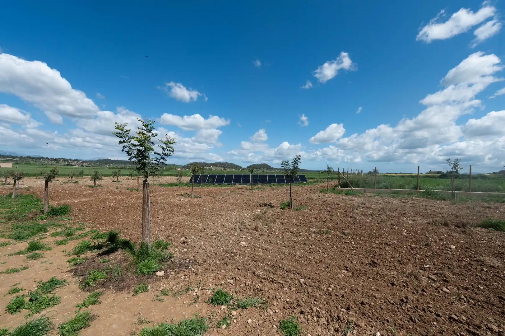 Maison rustique avec piscine à vendre à Sineu, imagen 15