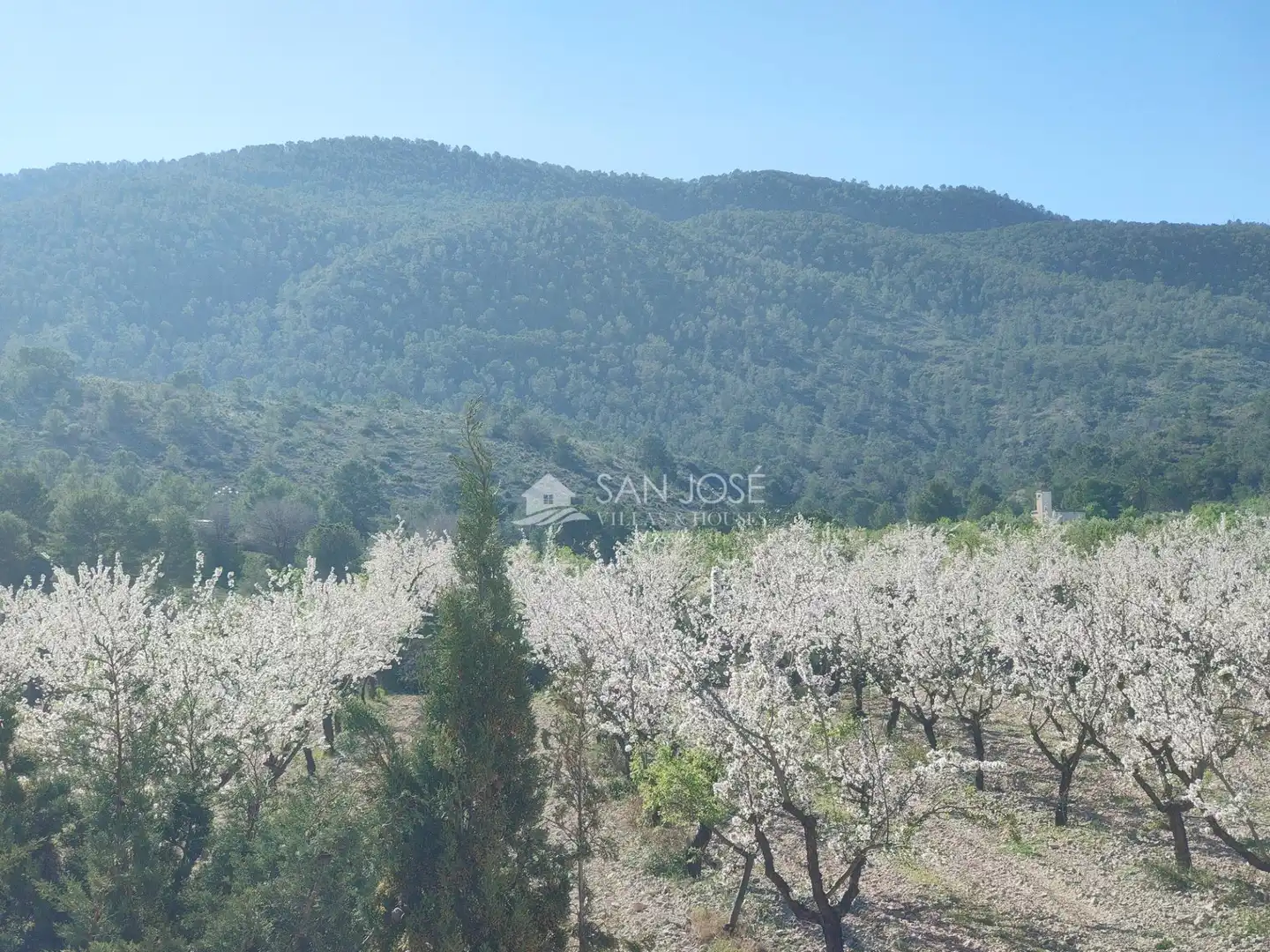 Chalet con piscina en venta en Hondón de las Nieves / El Fondó de les Neus, imagen 22