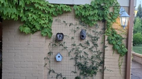 Photo 4 of Houses for sale in Santa Maria de Trassierra, Córdoba Capital