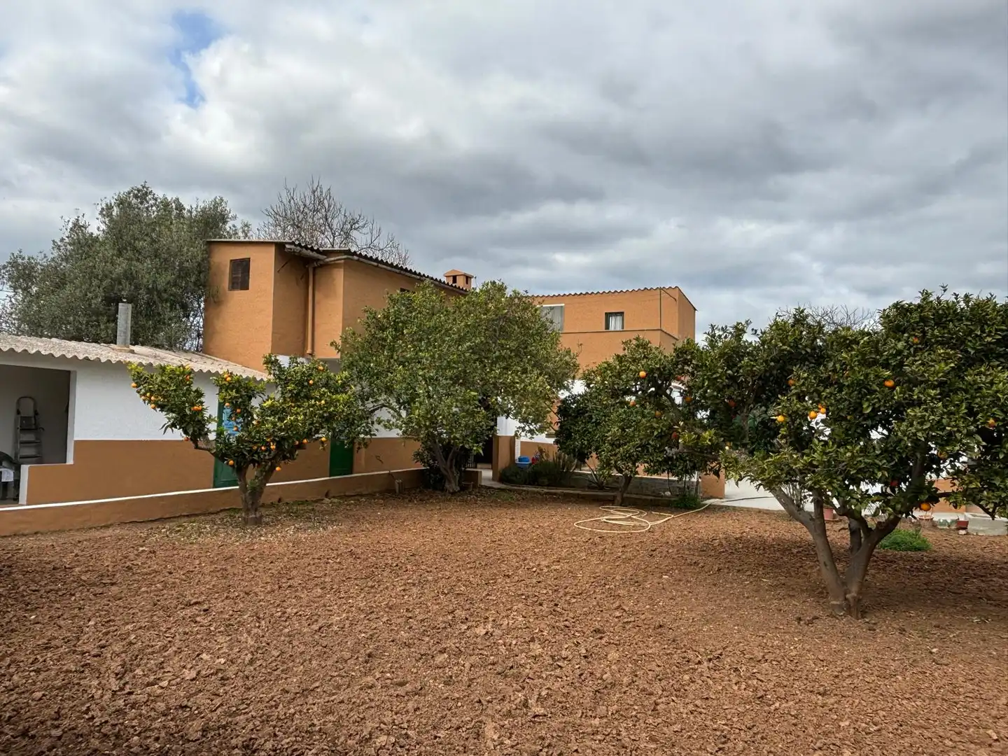 Vista exterior de Finca rústica en venta en Marratxí