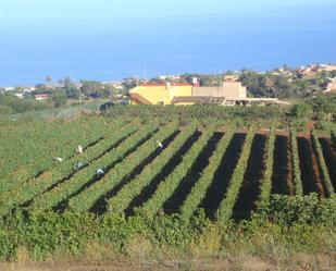 Exterior view of Land for sale in Tacoronte