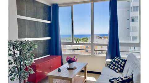 Estudio con vistas al mar en Cala Major