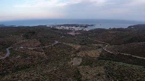 TERRENO RÚSTICOOlivar situado en la carretera de Cadaqués.Vistas al mar.Pozo de agua legalizado.Superficie del terreno 11.680 m2