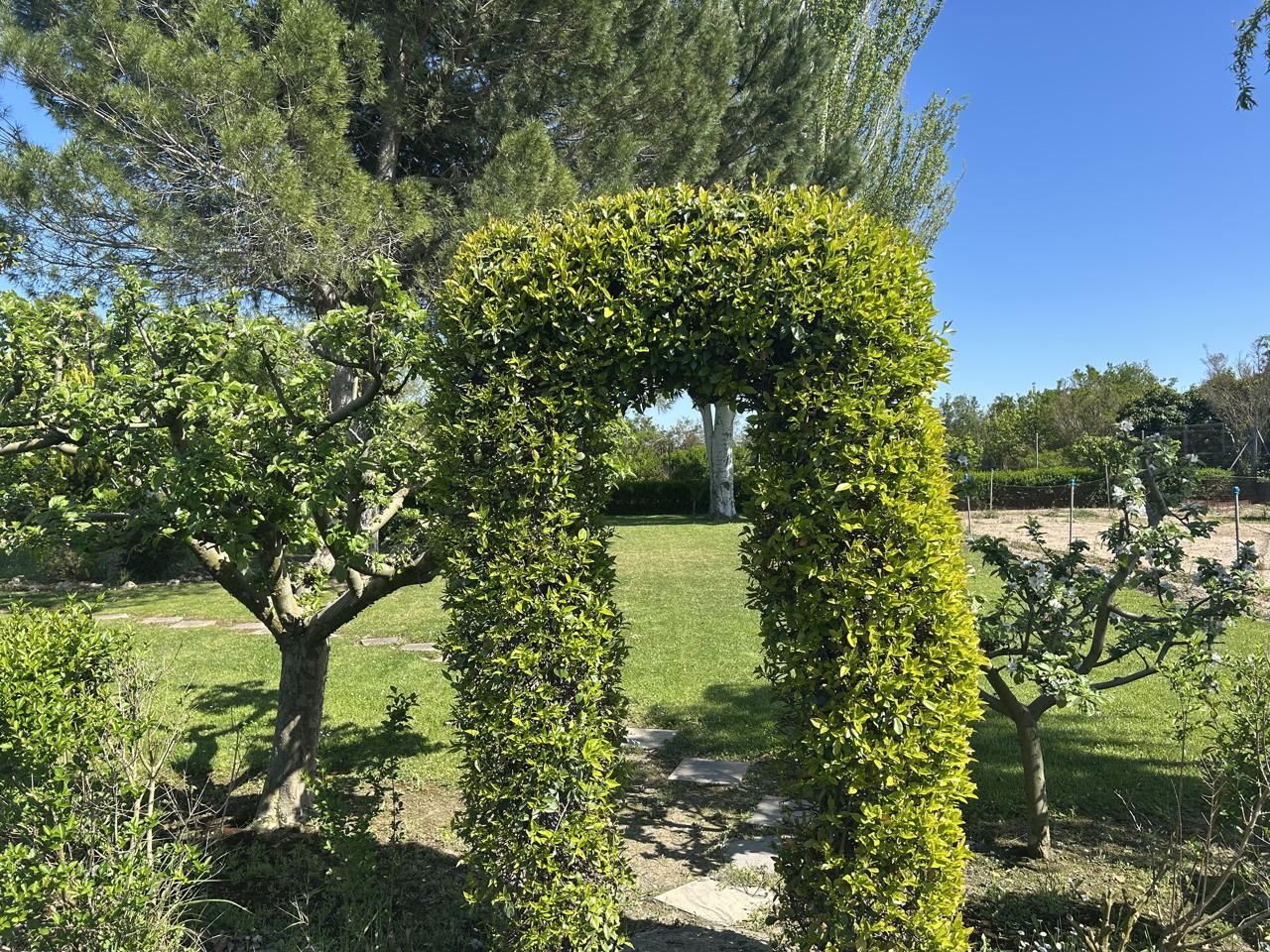 Garten von Country house zum verkauf in Alfaro