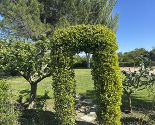Garden of Country house for sale in Alfaro