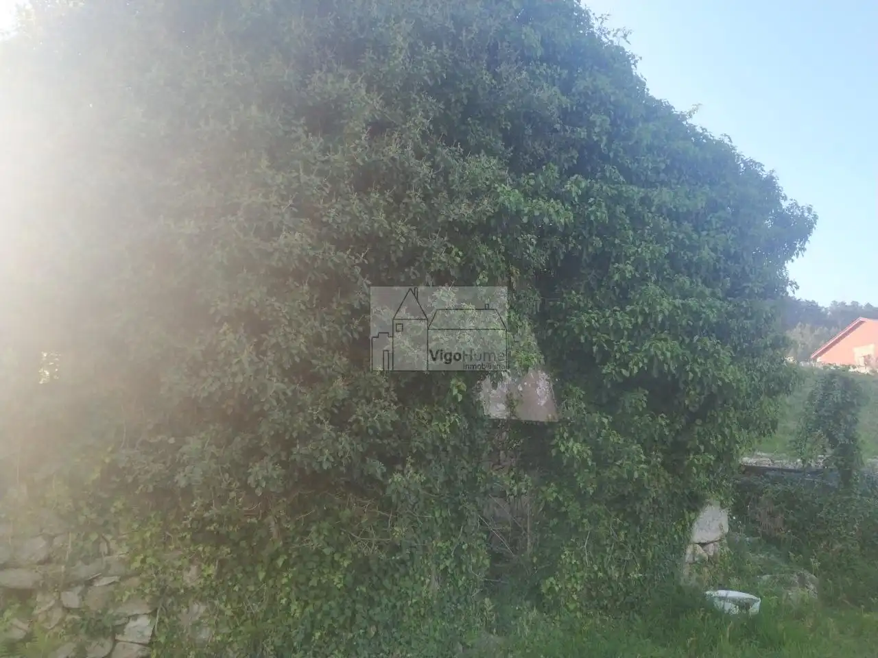 Wohnbaugrundstück zum Verkauf in CARBALLIDO .DOMAIO 21A, imagen 18