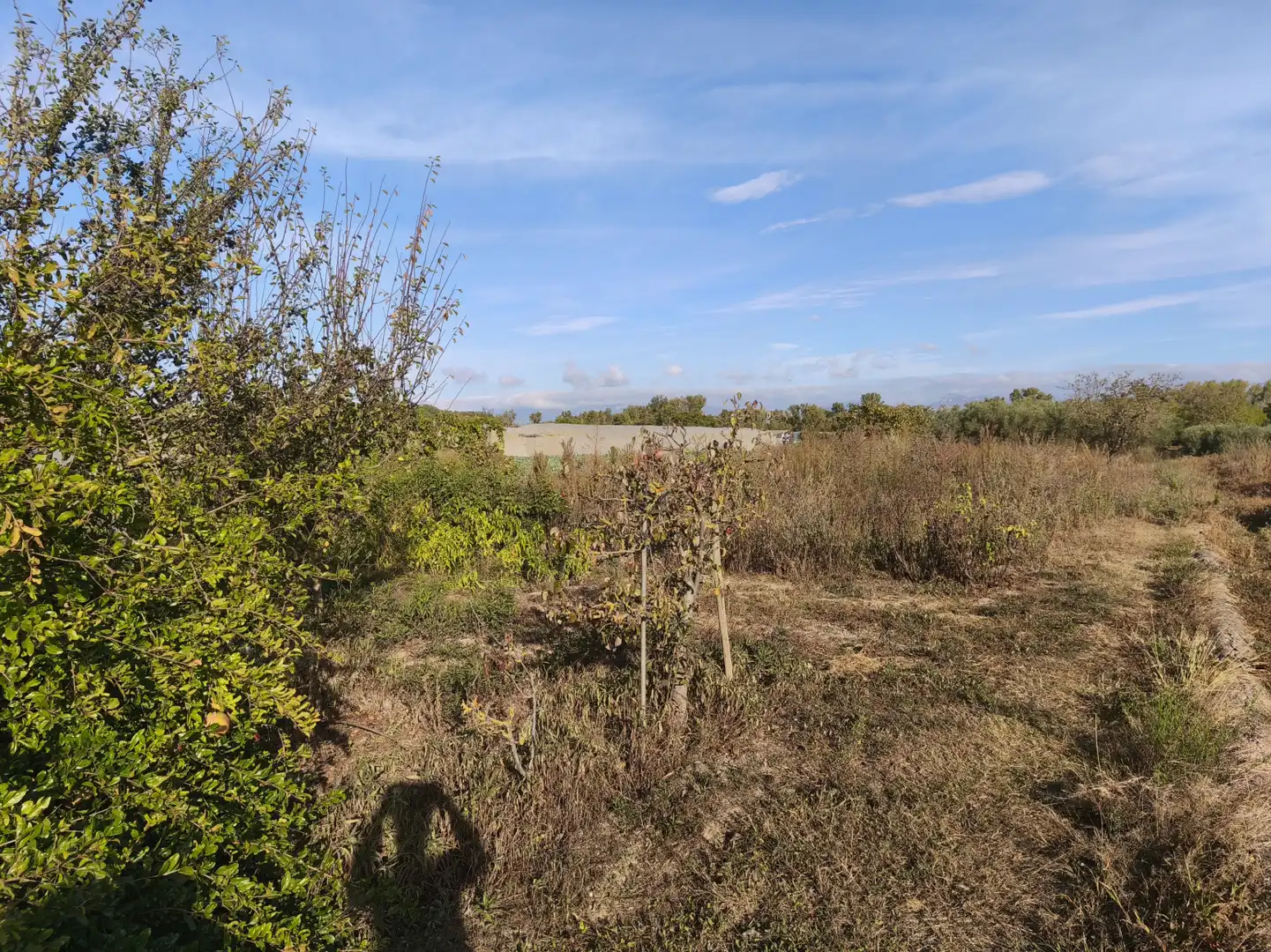 Land for sale in  Logroño