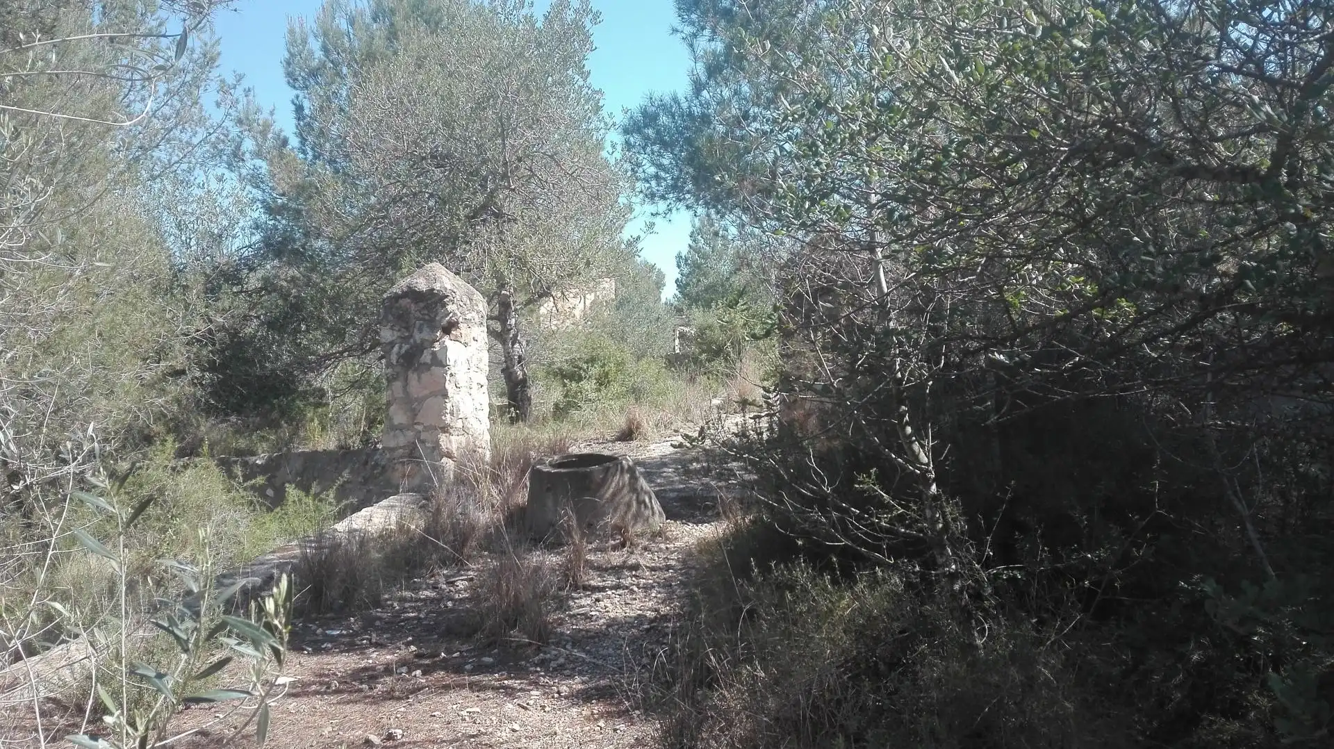 Terreni e lotti in vendita a Urbanitzacions de Llevant, imagen 16