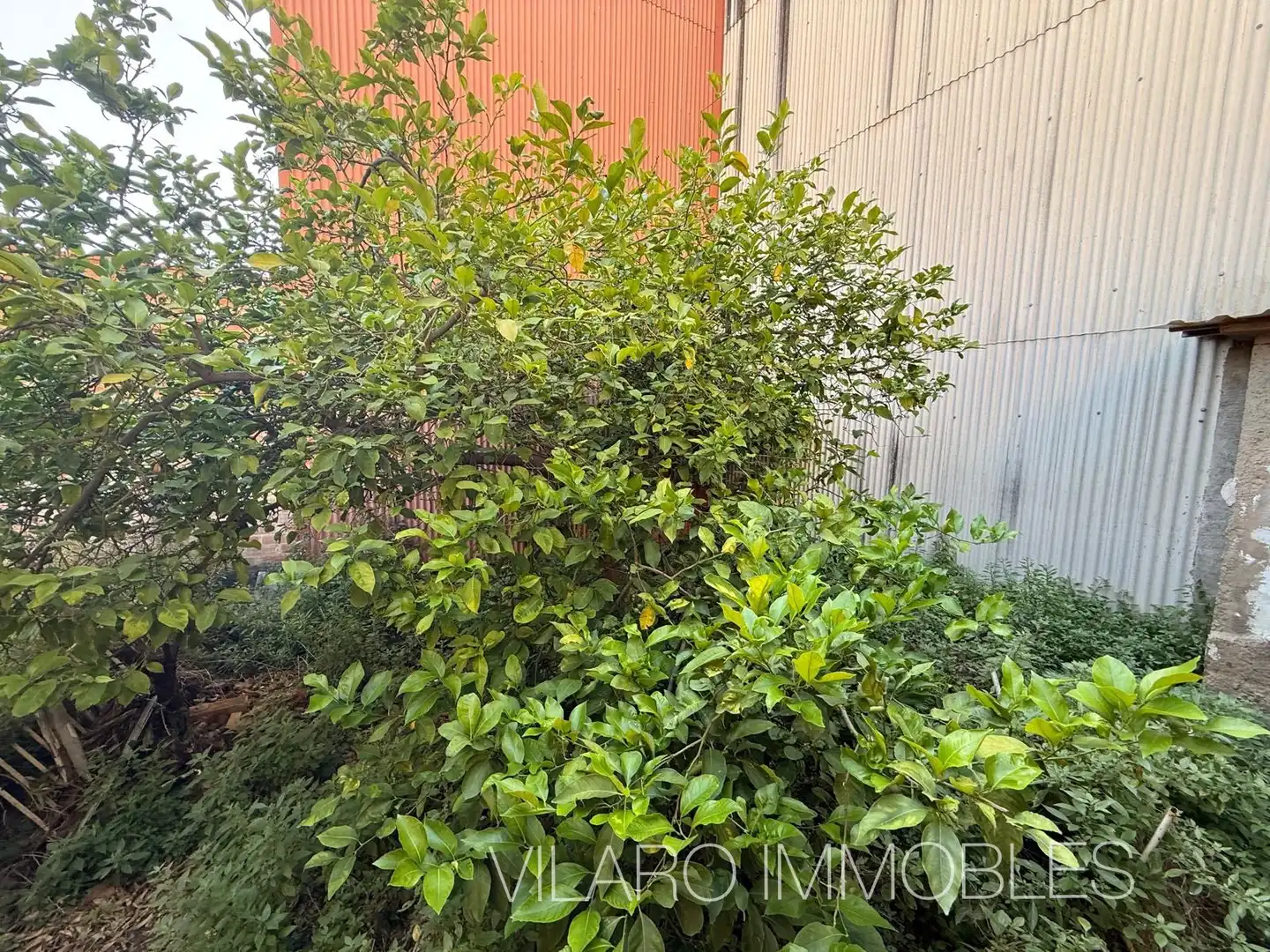 Detached homes for sale in Sabadell  with Private garden and Storage room