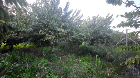 Foto 5 de Terreno en venta en Centro, Salobreña