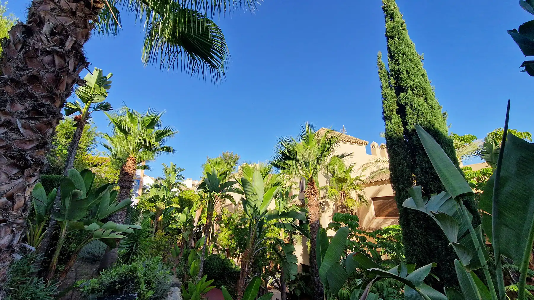 Ático con piscina en venta en Calle Teide 3, imagen 54