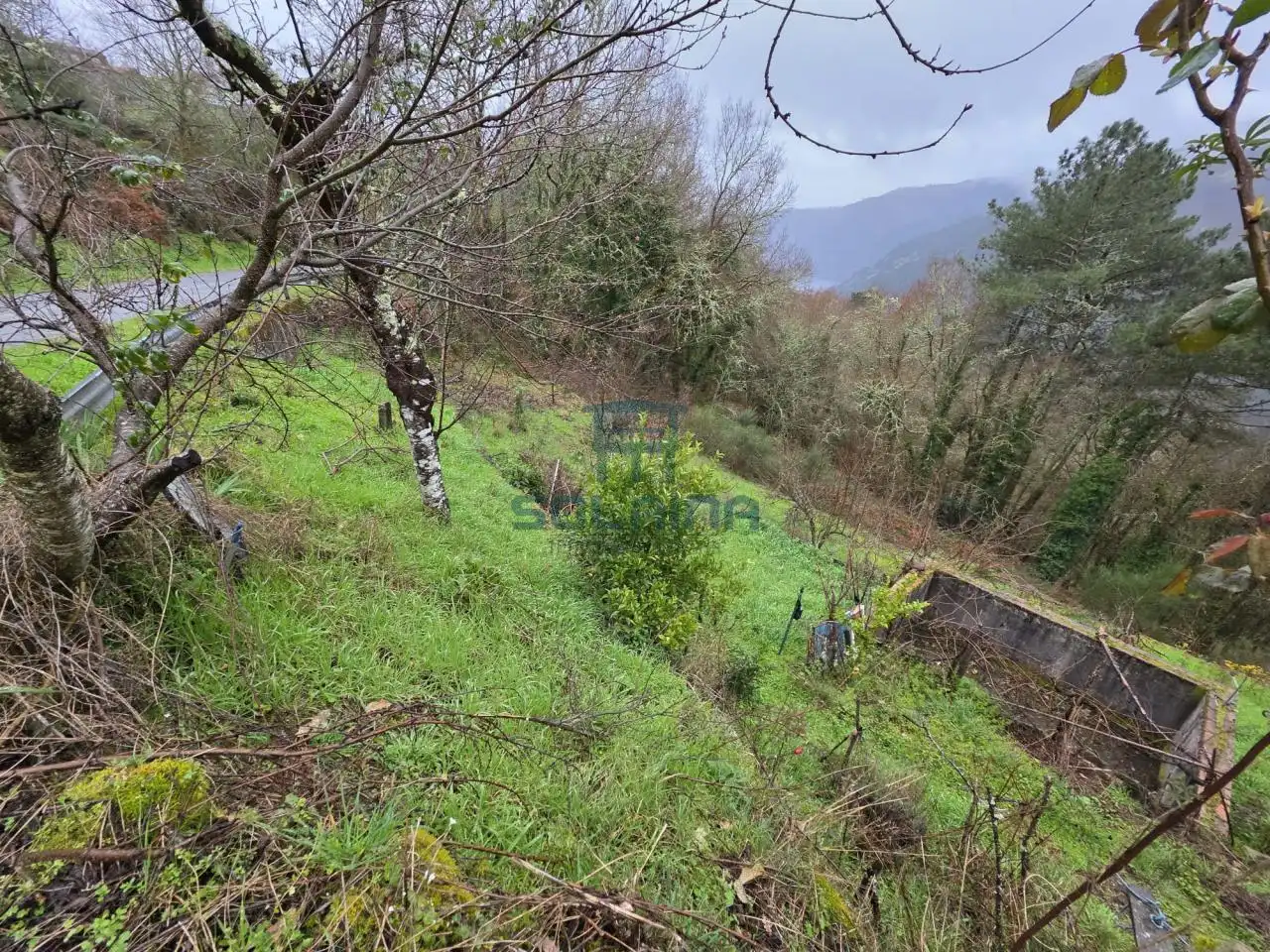 Casa o xalet en venda en Pantón amb Calefacció i Jardí privat