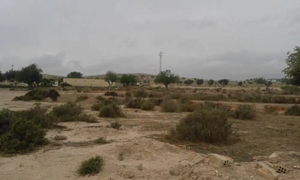 Country homes for sale in Calle LA SARDINA, Santa Faz