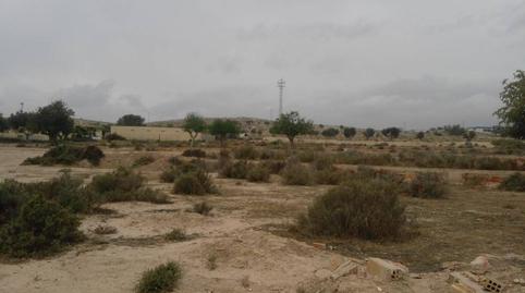 Foto 2 de Finca rústica en venda a Calle la Sardina, Santa Faz, Alicante