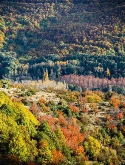 Vista exterior de Casa o xalet en venda en Navaconcejo amb Aire condicionat i Terrassa