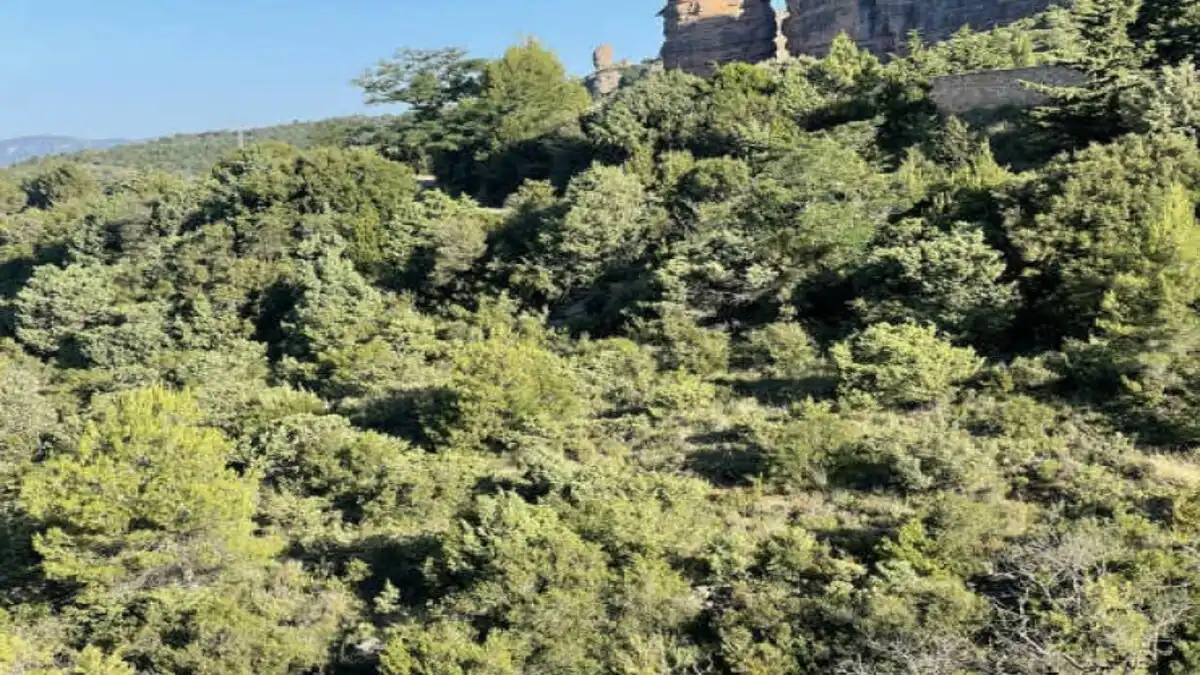 Residencial en venda en Agüero