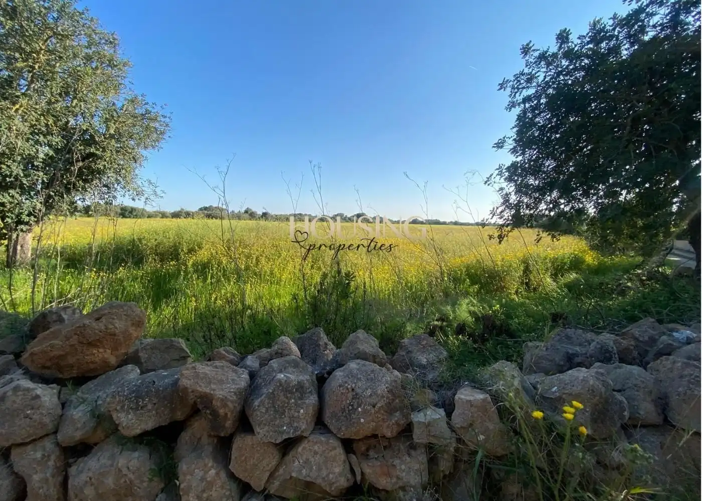 Terreny rústic en venda a Llucmajor pueblo, imagen 7