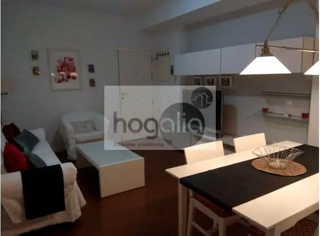 Sala d'estar de Planta baixa de lloguer en Nervión