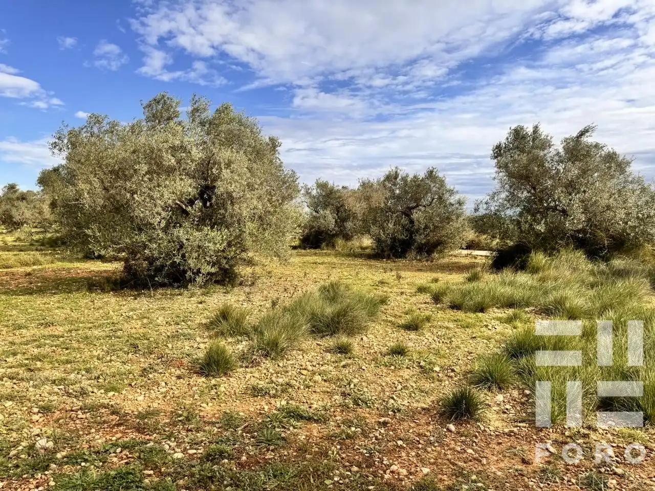 Residencial en venta en Benlloc