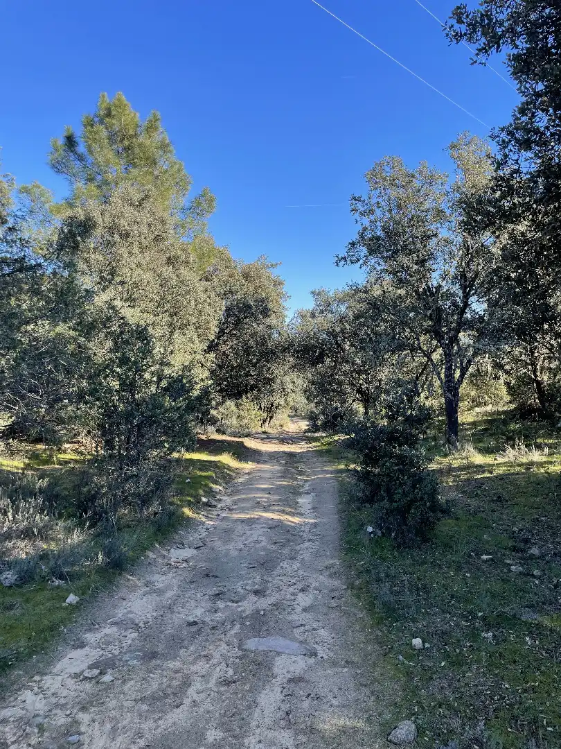 Terreni e lotti in vendita a Fresnedilla, imagen 14