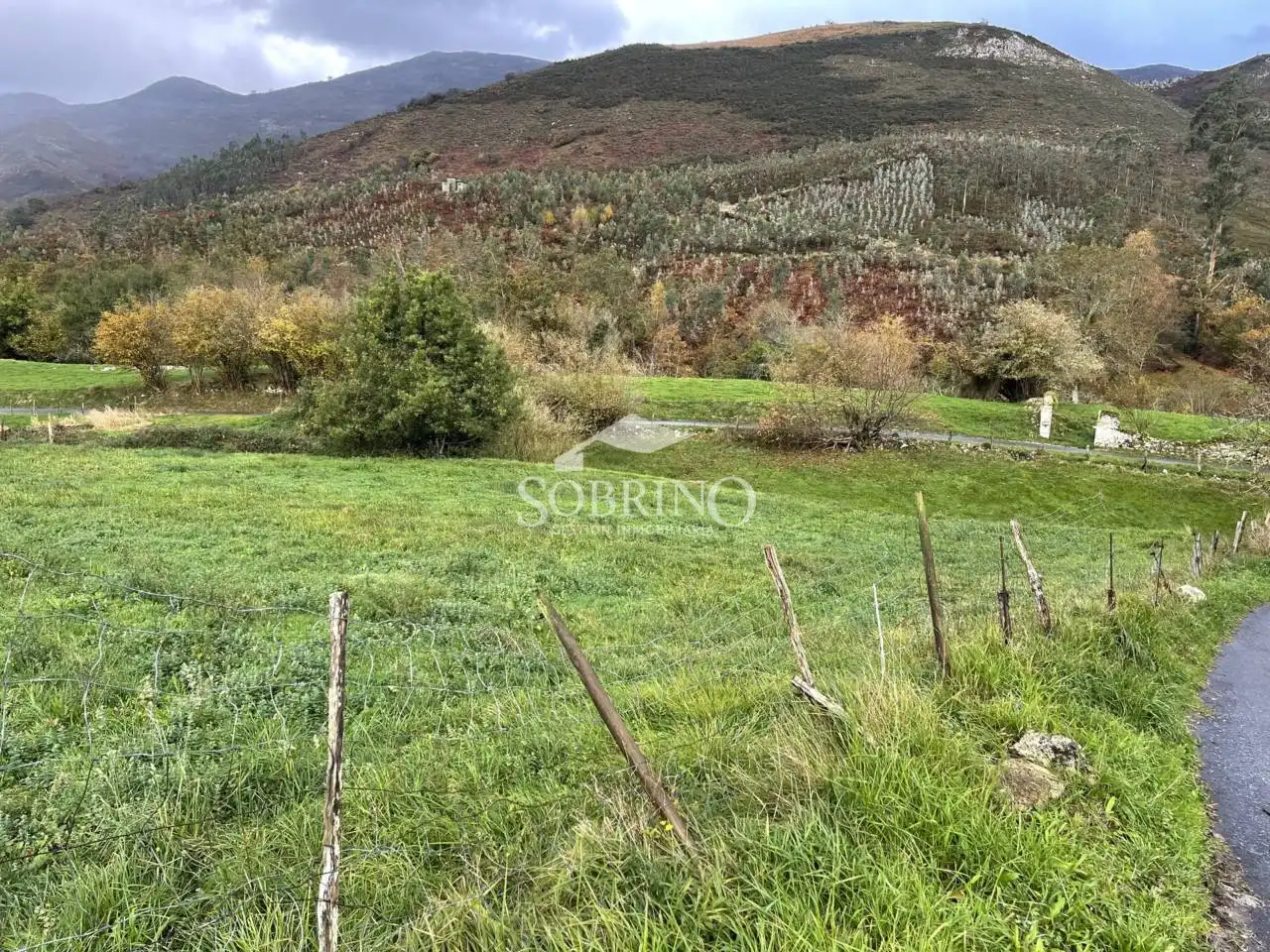 Terreno residencial en venta en Calle La Borbolla 1, imagen 2