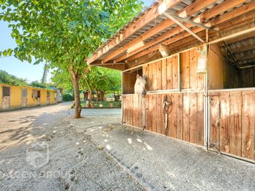 House with garden for sale in Carrer Cobertera