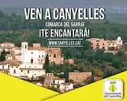 Adosado con terraza en venta en Carrer Cami de Canyelles 2A, imagen 39