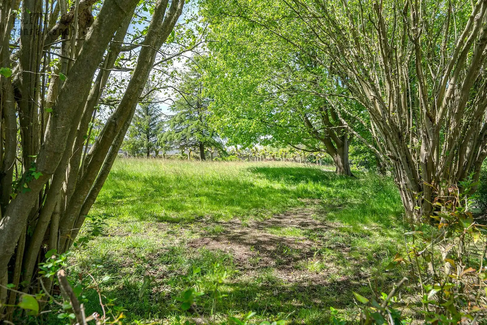 Casa o xalet en venda en Polanco amb Jardí privat, Terrassa i Balcó