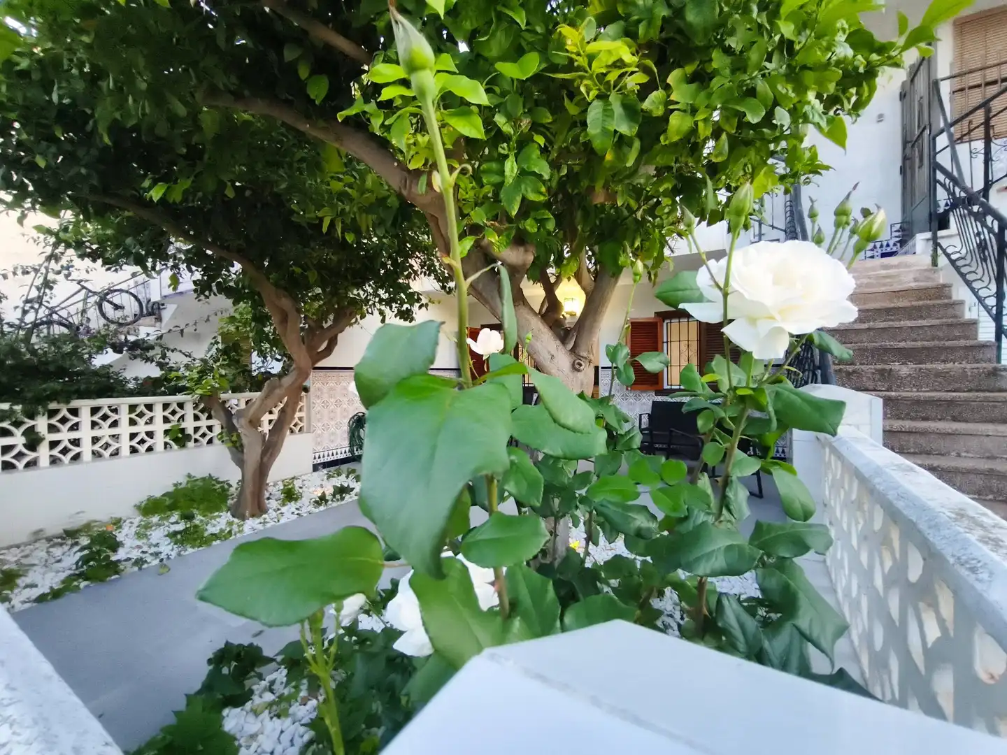 Jardí de Casa o xalet en venda en San Pedro del Pinatar amb Moblat