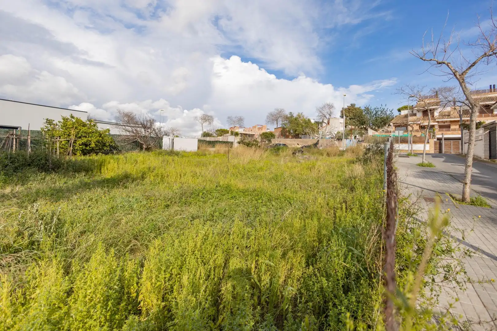 Residential land for sale in Pasaje DALLA, imagen 9