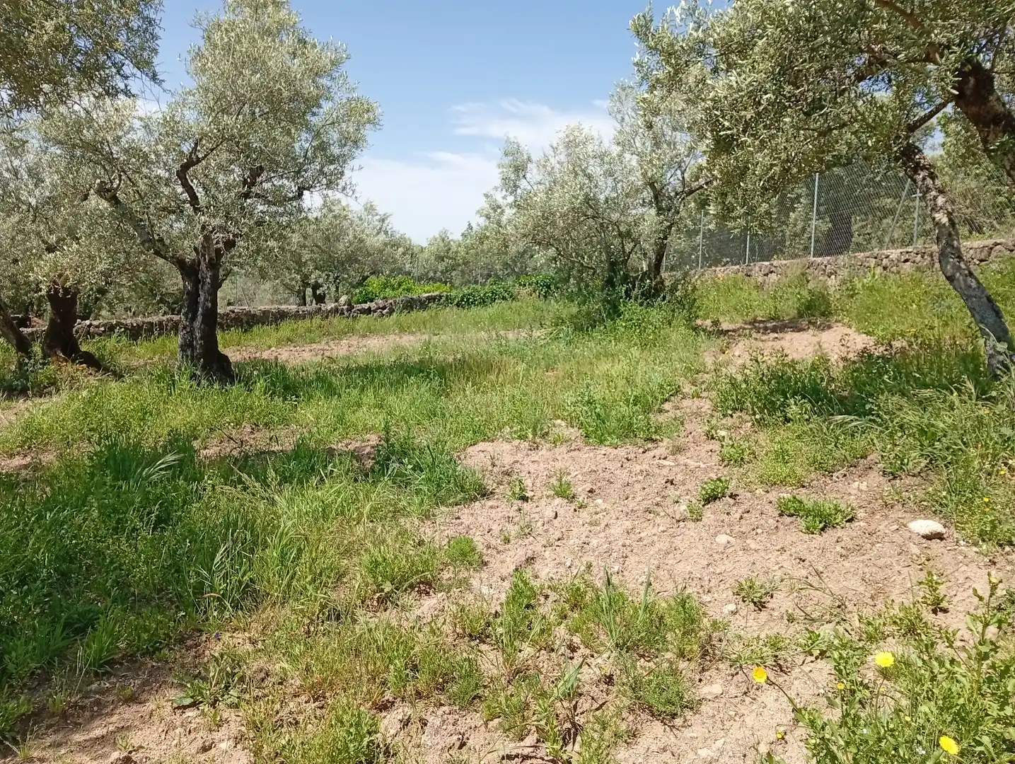 Terreni e lotti in vendita a Villanueva de la Vera, imagen 37