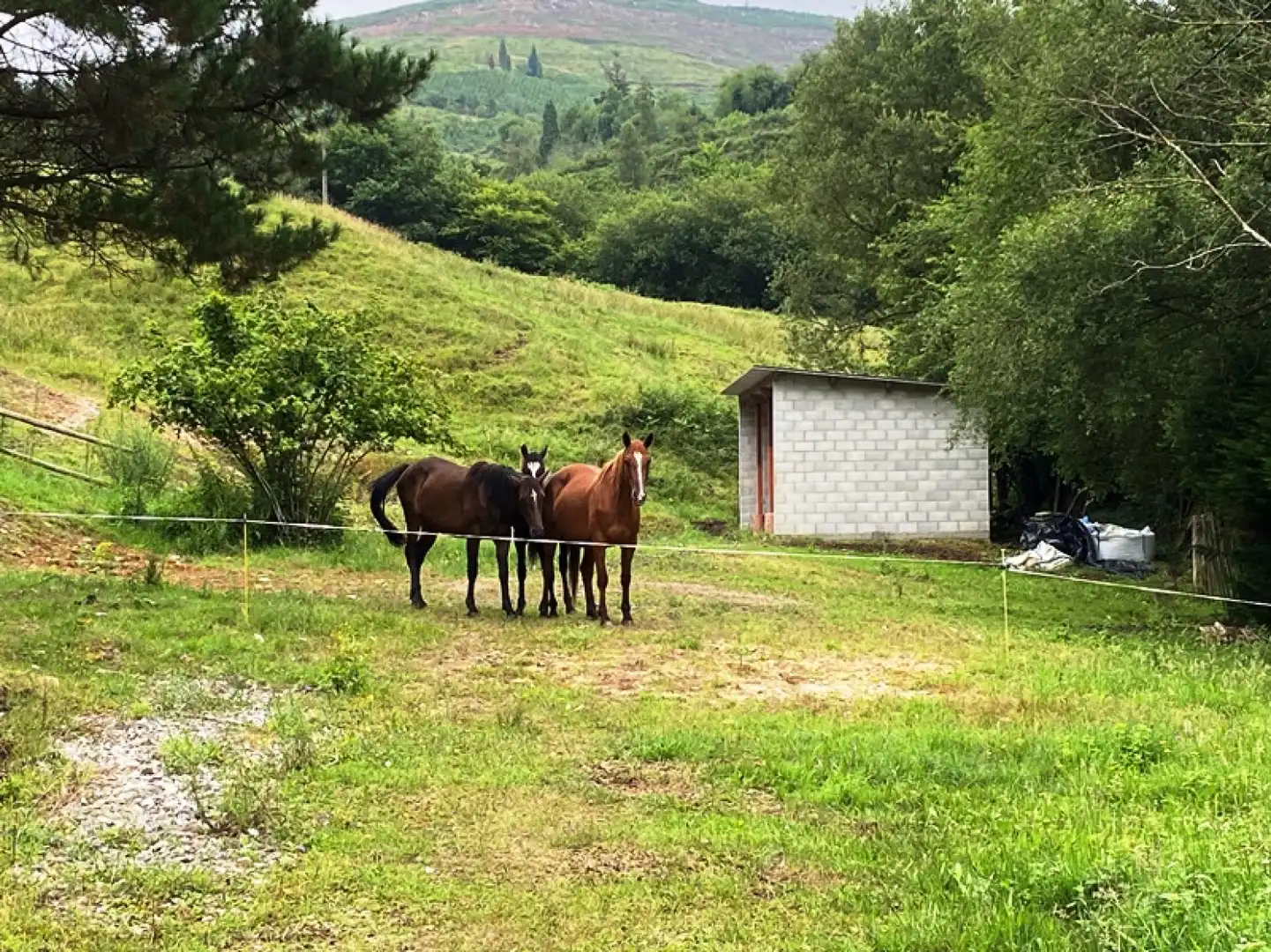 Vista exterior de Casa o xalet en venda en Mazcuerras amb Calefacció