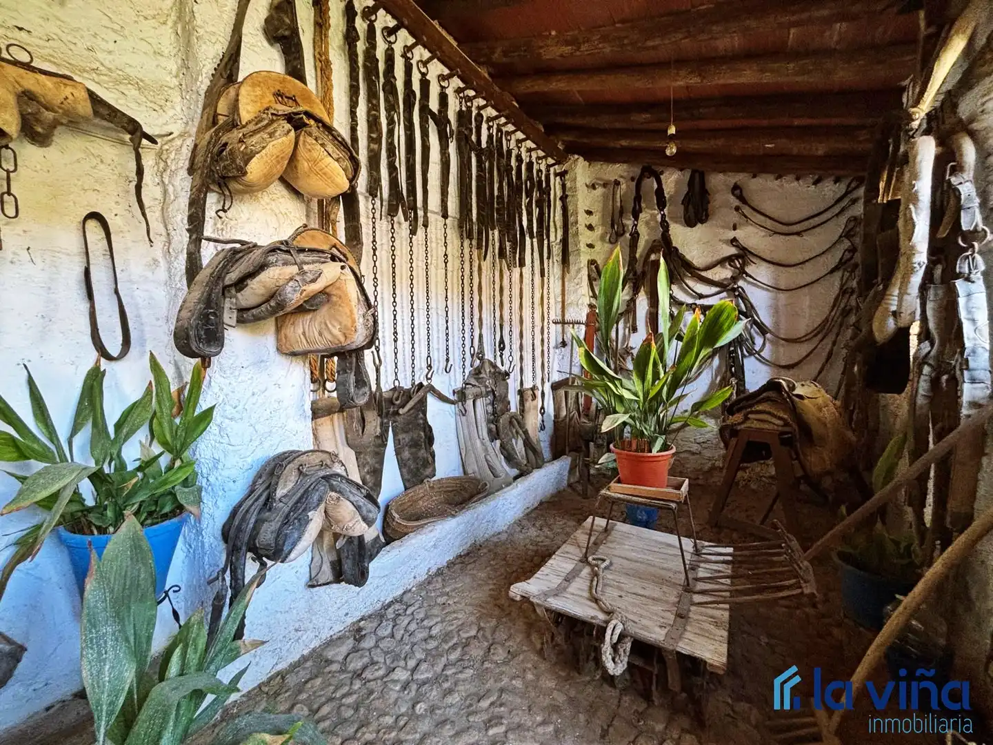 Habitatge amb jardí en venda a Alameda, imagen 25