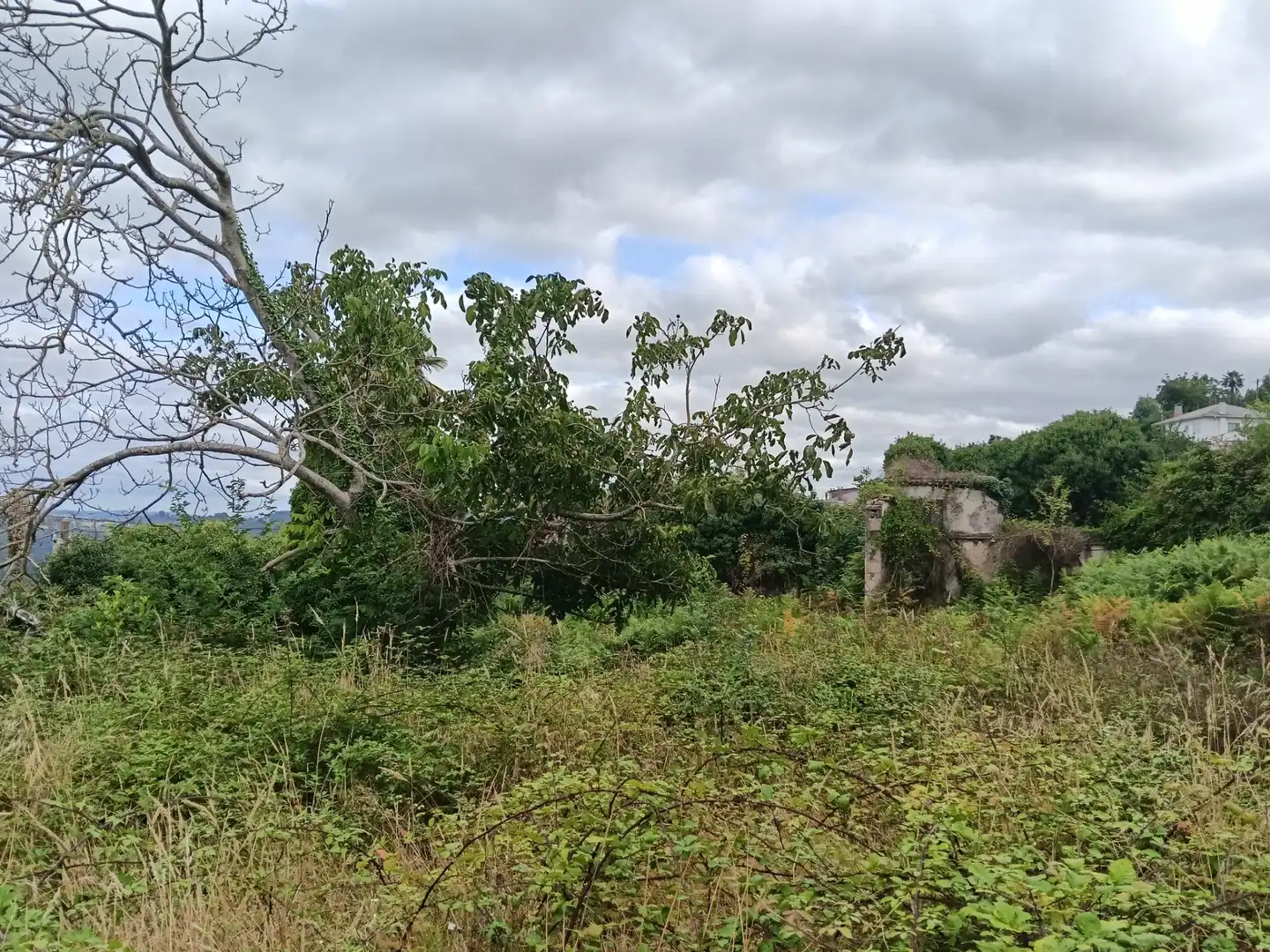 Maison avec jardin à vendre à Lugar Collantres 45, imagen 13
