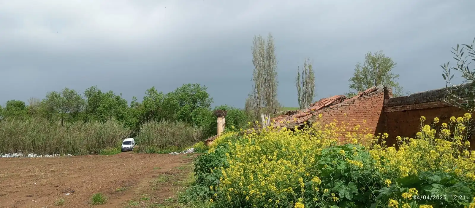 Terreni e lotti in vendita a La Zarza (Badajoz), imagen 5