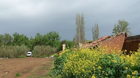 Terreno rústico en venta – 2,2 ha La Zarza (Badajoz), imatge 5