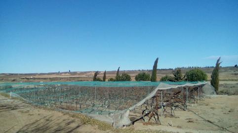 Foto 3 de Terreny en venda a Villanueva de Sigena, Huesca