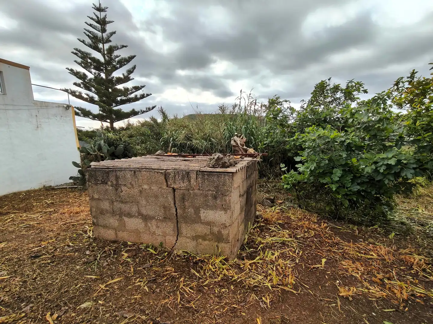 Finca rústica en venda en Arucas amb Jardí privat i Terrassa