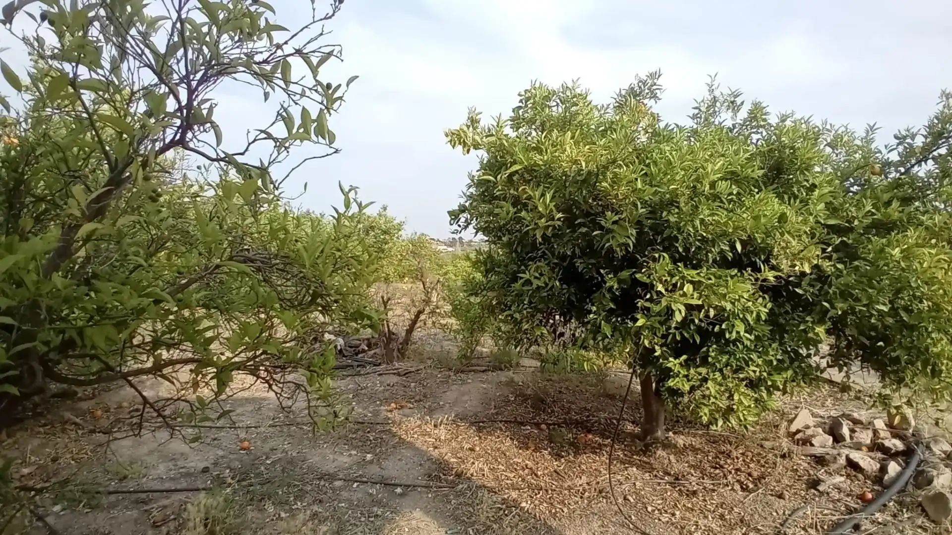 Rural land for sale in Altea ciudad, imagen 27