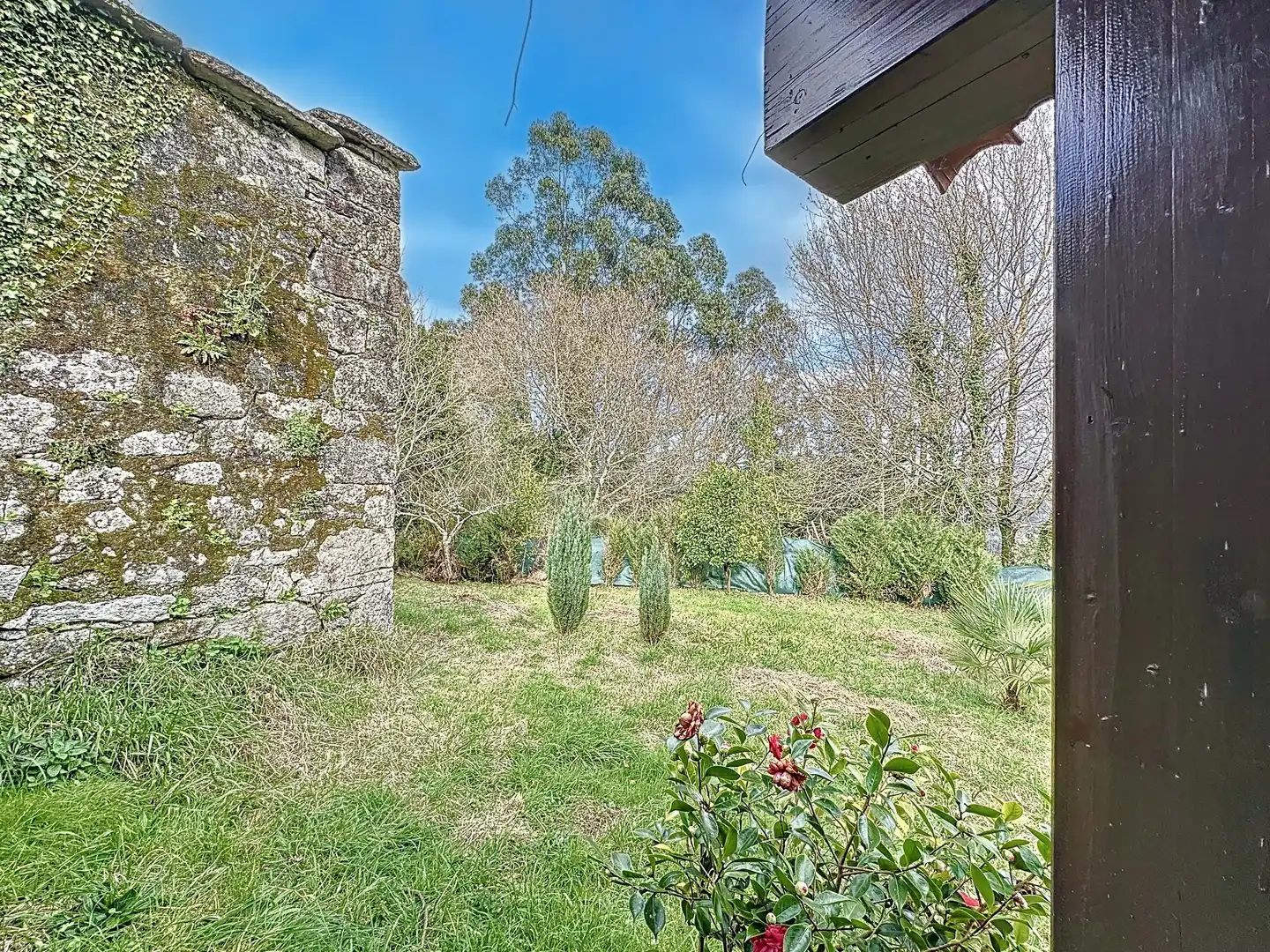 Jardín de Casa o chalet en venta en Campo Lameiro