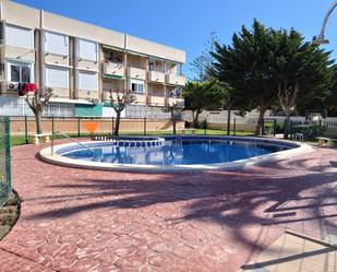 Swimming pool of Flat for sale in Pilar de la Horadada  with Terrace and Balcony