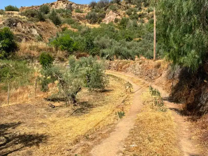 Vista exterior de Planta baixa en venda en Canjáyar amb Balcó